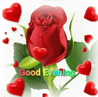 Good night evening message GIF android App screenshot 6