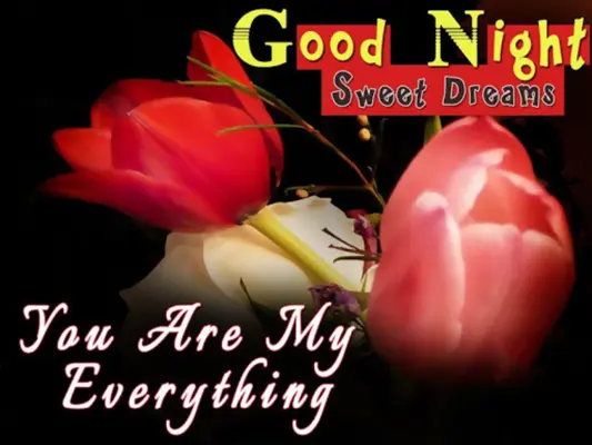 Good night evening message GIF android App screenshot 7